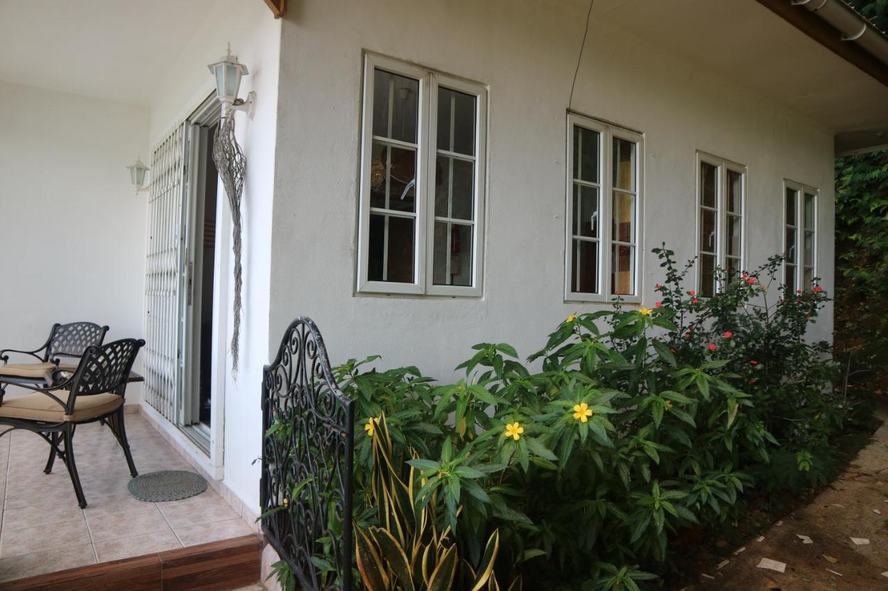 Seychelles Yellow Petals Anse Boileau Exterior photo