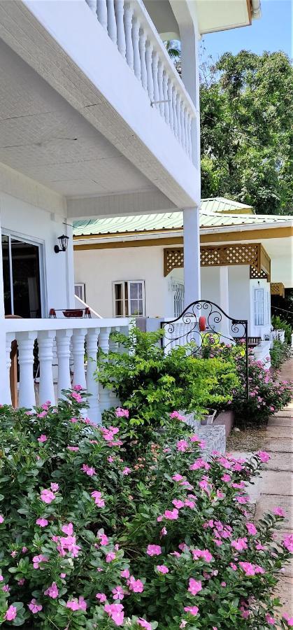 Seychelles Yellow Petals Anse Boileau Exterior photo